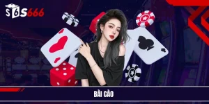 Bài cào